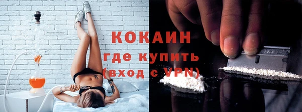индика Новодвинск