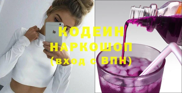 индика Новодвинск