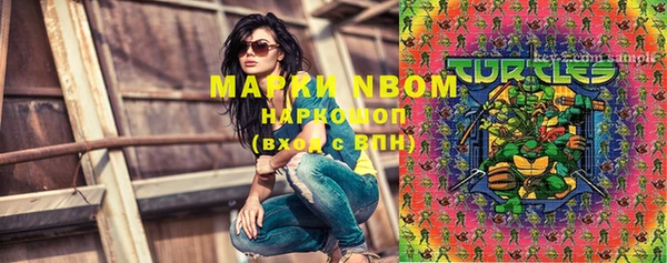 индика Новодвинск