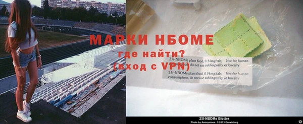 индика Новодвинск