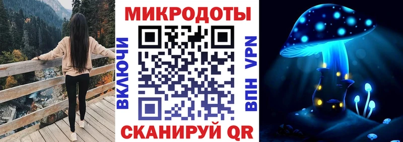 Псилоцибиновые грибы ЛСД Лодейное Поле
